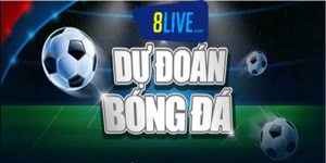 Nhà cái 8live – Địa chỉ dự đoán bóng đá hàng đầu hiện nay